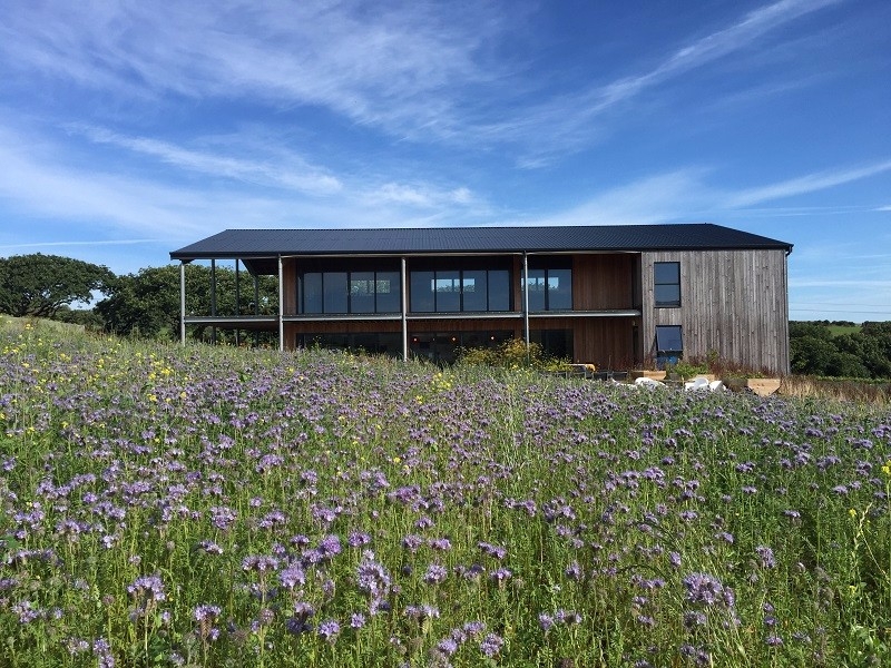 trevibban-mill-vineyard-gay-friendly-wedding-venue-cornwall Trevibban Mill Vineyard